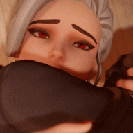 ashe 211