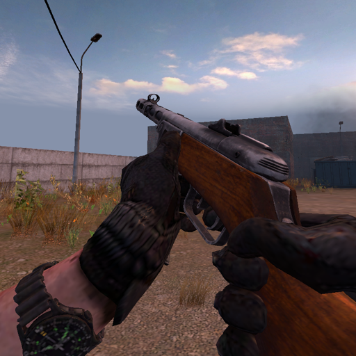 [Z-CITY] PPSH-41