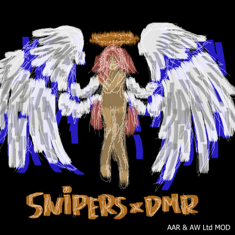 These Snipers and DMRs