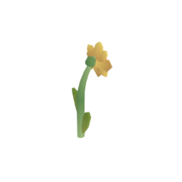Narcissus