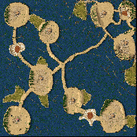 Island Mayhem (Duchenkuke)