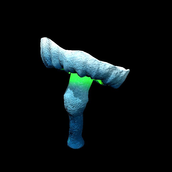Mushroom_Middle_4_2