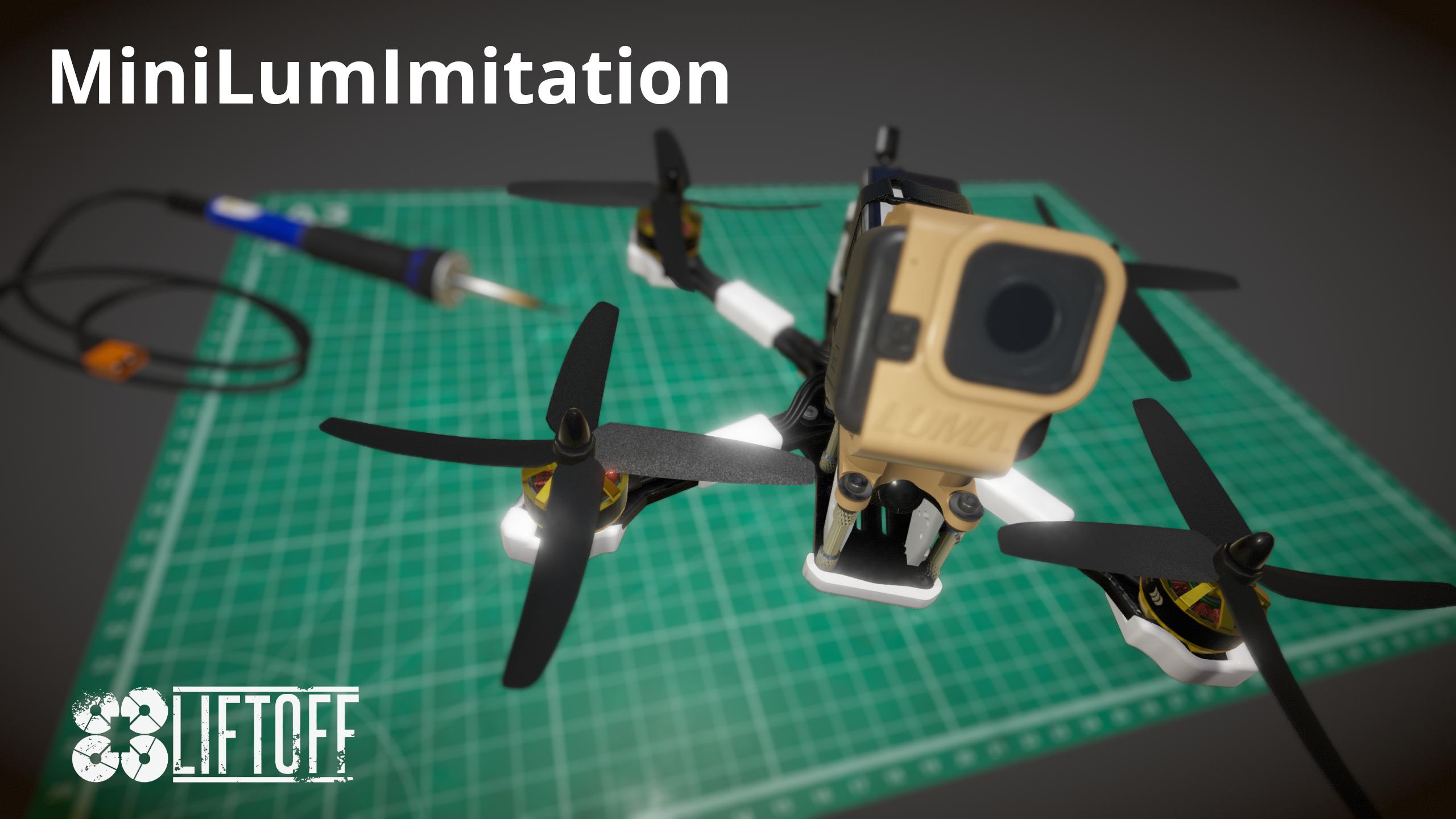 MiniLumImitation