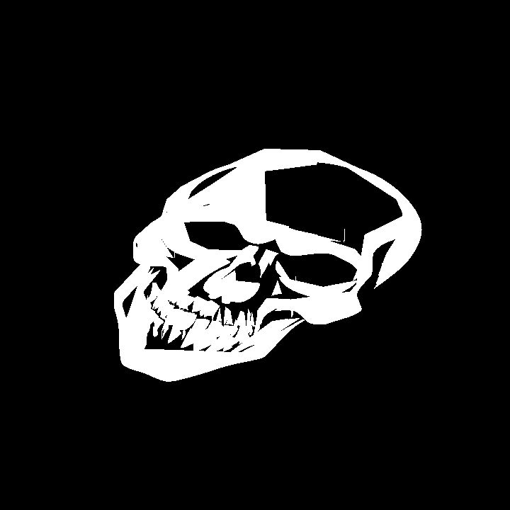A glowing sigil - white skull
