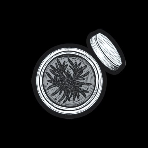 Rosemary Jar 1