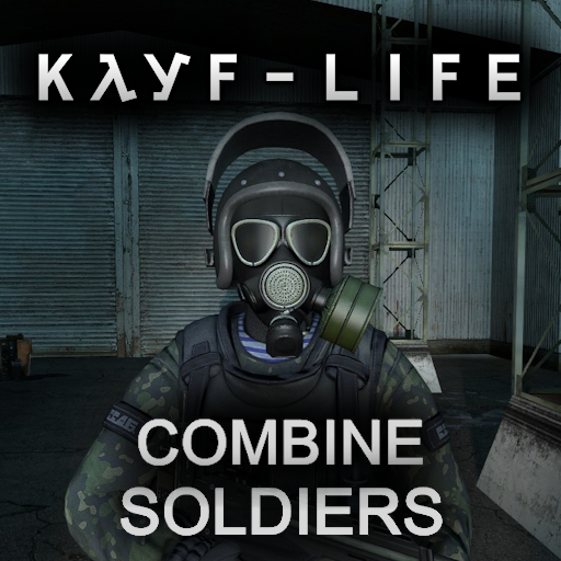 Combine Soldiers from KAYF-LIFE: Complete Edition (Combine Soldier)