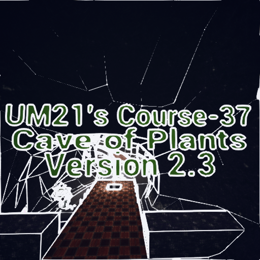 UM21's Course-37