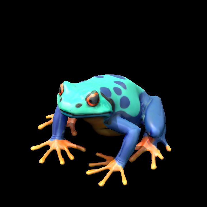 Frog 5