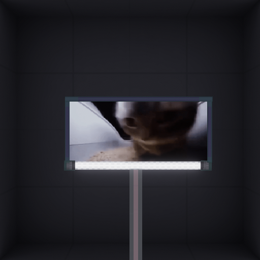 BIG CAT BILLBOARD