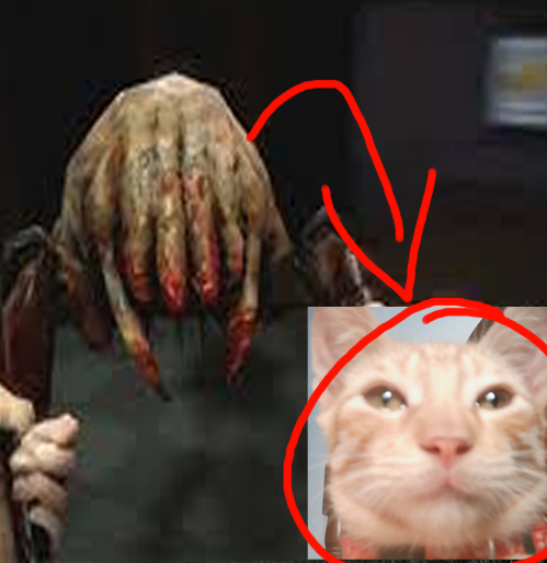 Tiago Cat