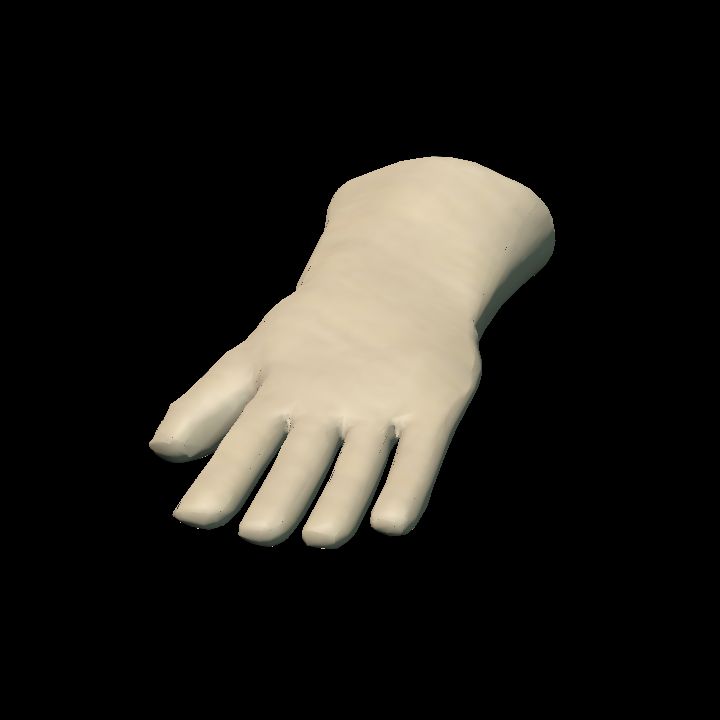 Leather gloves - lying L 5