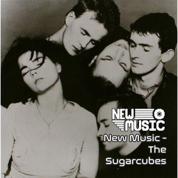 New Music - The Sugarcubes (1988-1992) – Project Zomboid Mod