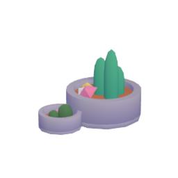 cactus plant pot