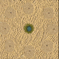 Mirage  (2-8)  -mostly fair-