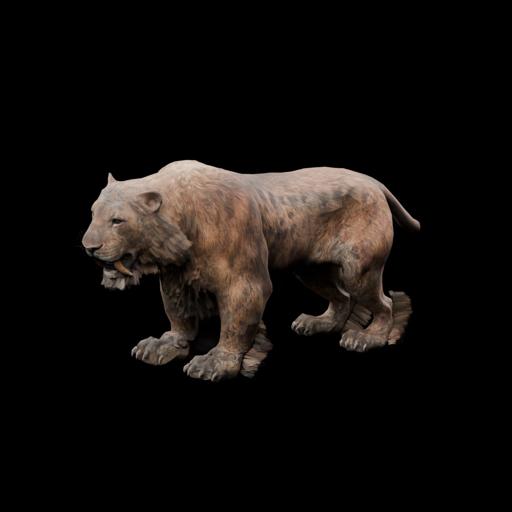 Sabertooth tlc