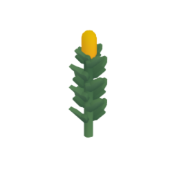 Corn Stalk