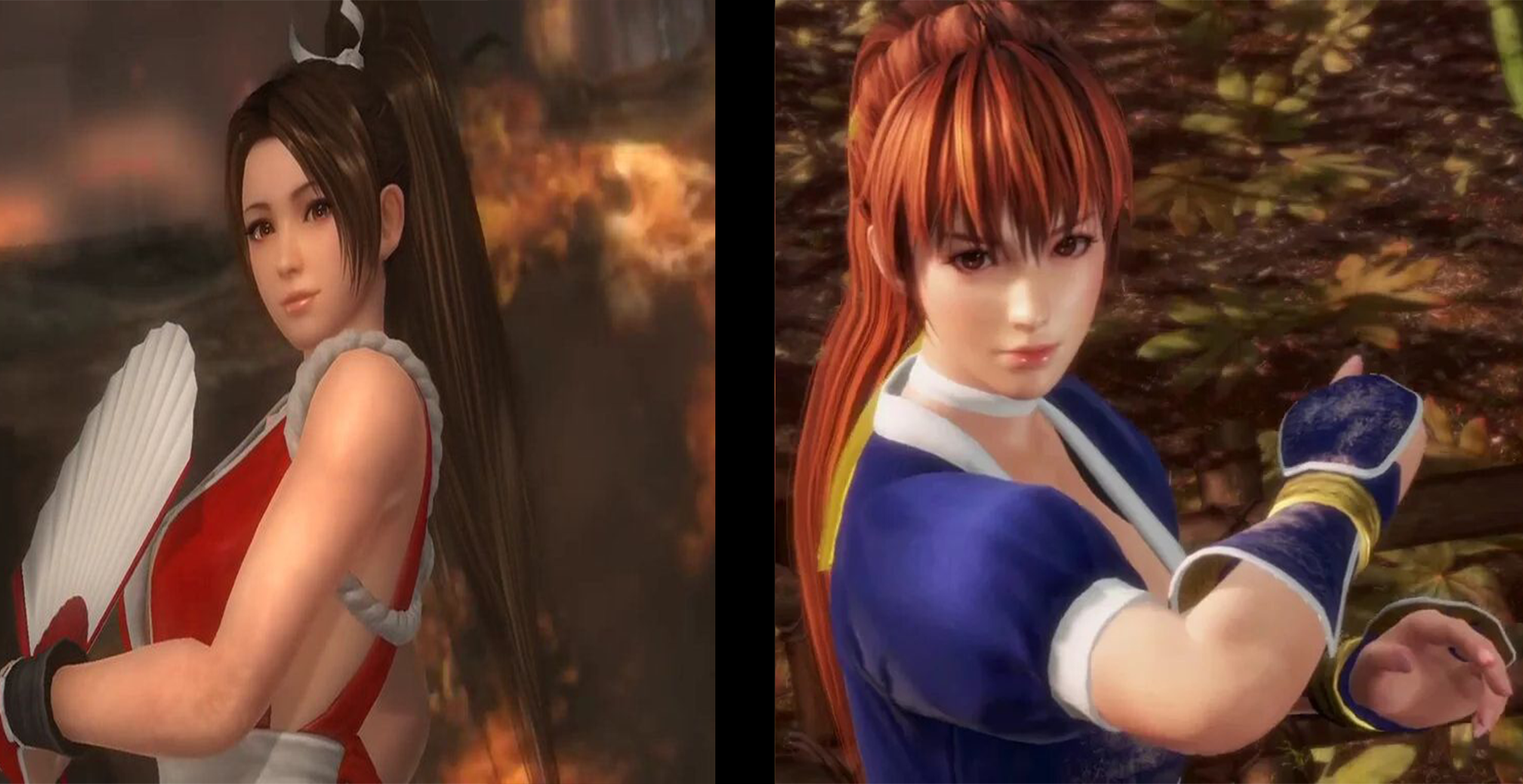 R-18 Kasumi and Mai Shiranui (Dead or Alive) Loading screen
