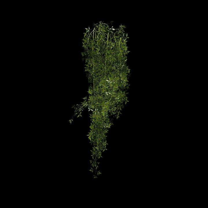 Hanging plants_04