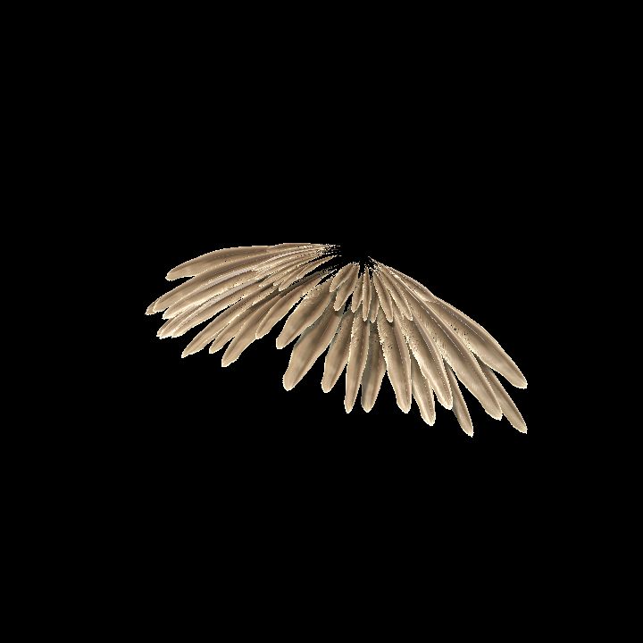 feathered tail spelljammer