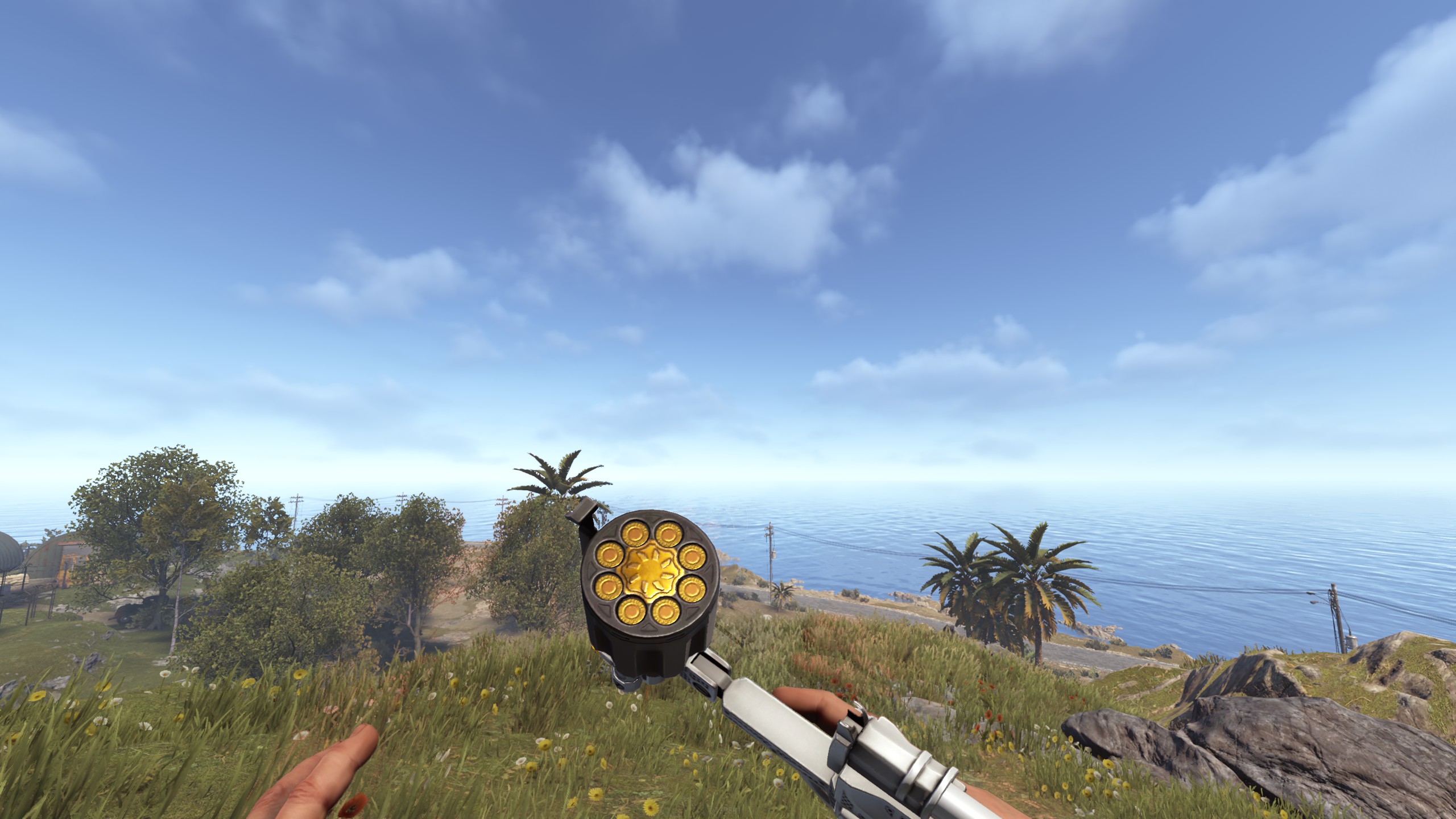Optimized Revolver thumbnail 12