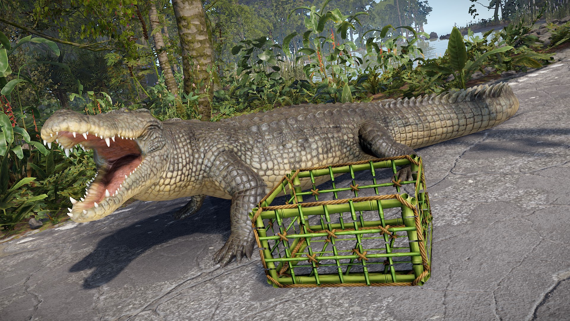 Bamboo Cage thumbnail 2