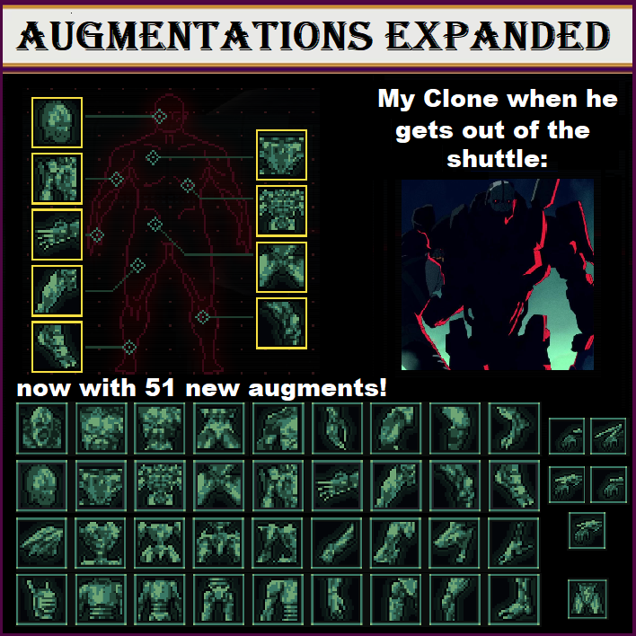 Augmentations Expanded