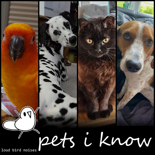 Pets I Know preview
