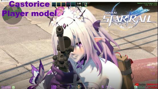 Honkai: Star Rail Castorice Player model (PM)