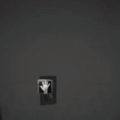 Golden Freddy Tesla Gate