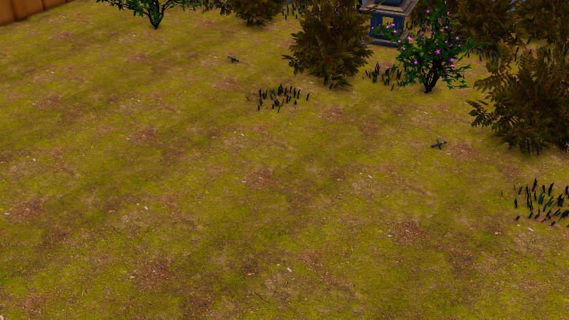 Hill Fort