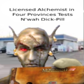 Morrowind Dick Pill preview