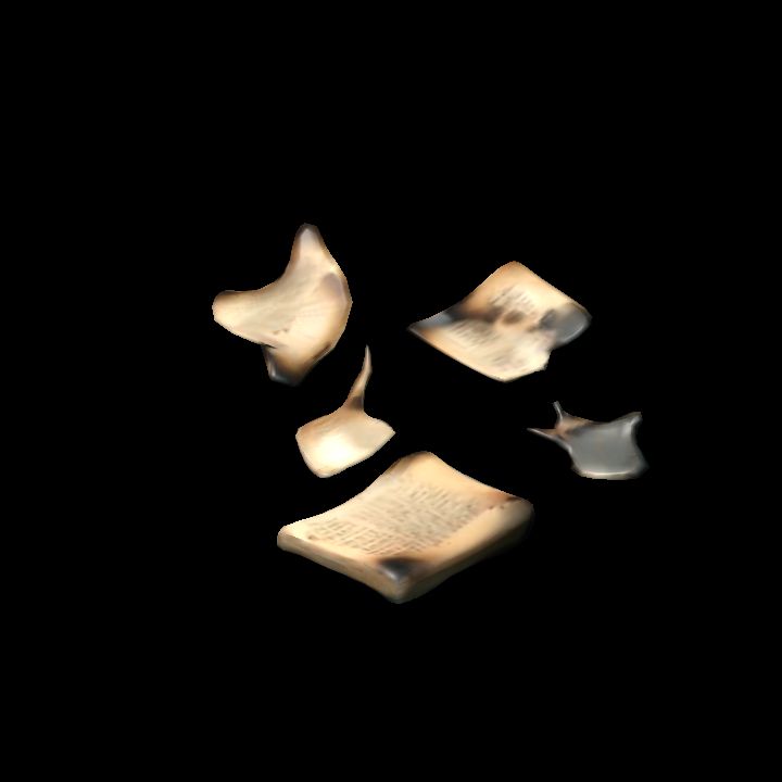 Burned books pages group 1