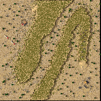 Desert Crown