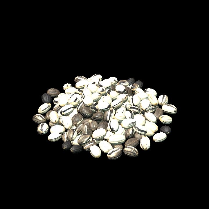 Pile of sunflower seeds