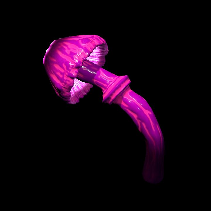 Mushroom_Middle_8_4