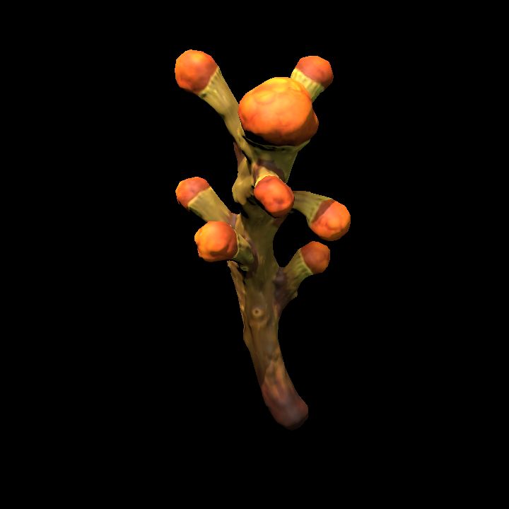 Mushroom_12