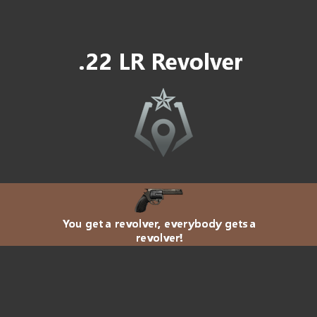 .22 Long Rifle Revolver