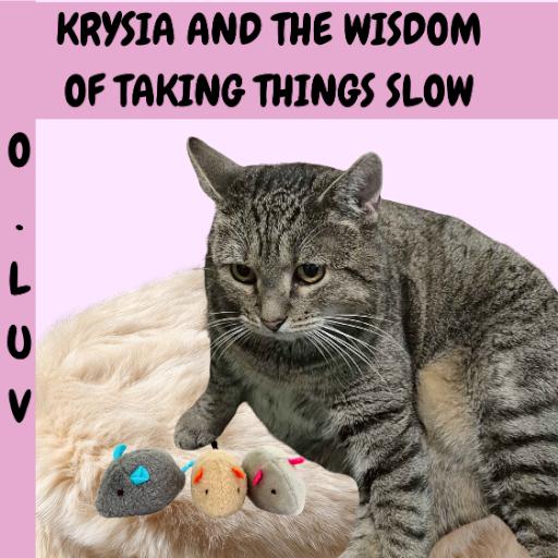 Krysia and the wisdom of taking things slow