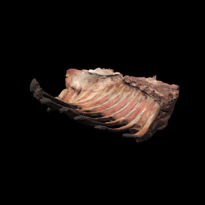 Food, Meat, Lamb 2