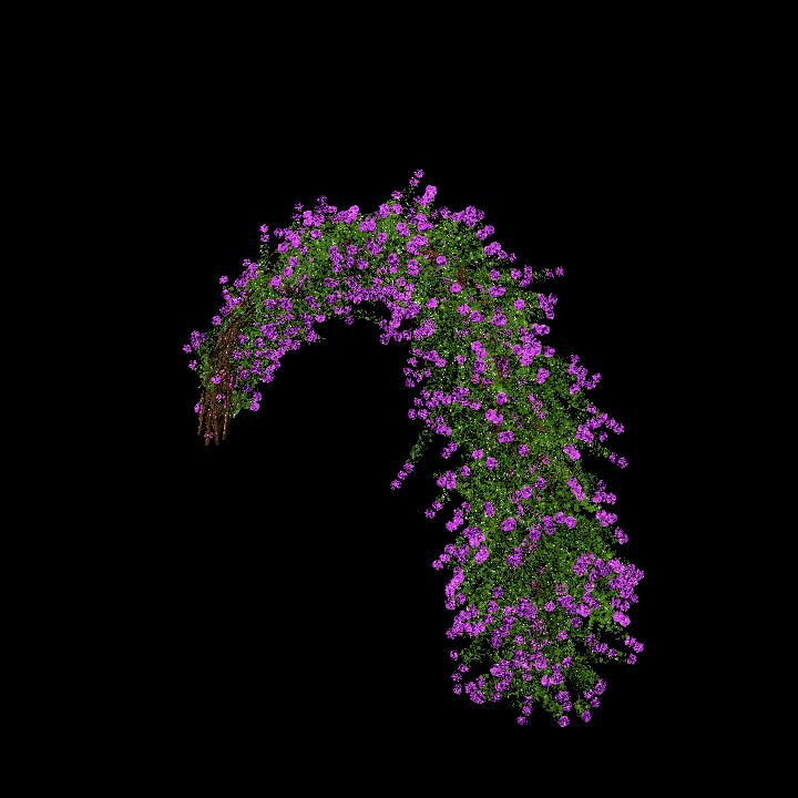 Garden Bow Purple