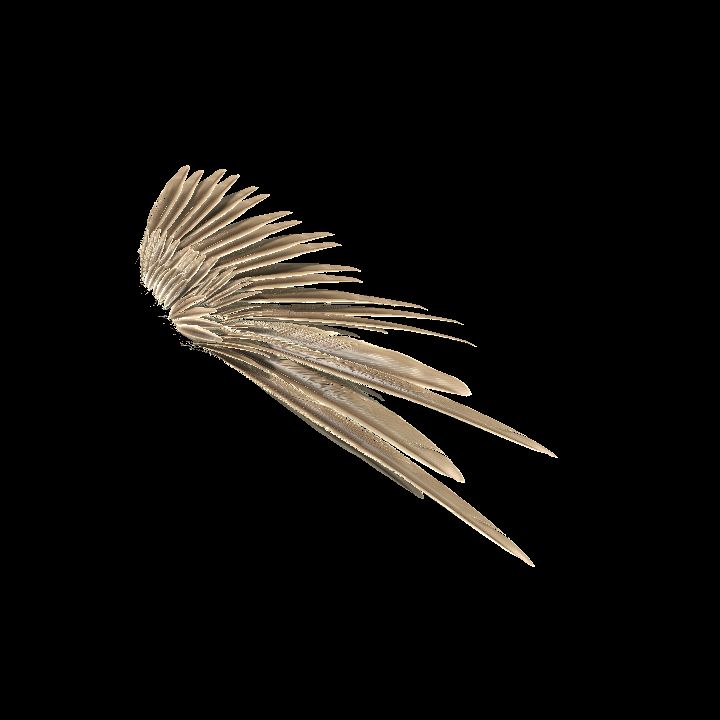 wing feathered 03 mirrored