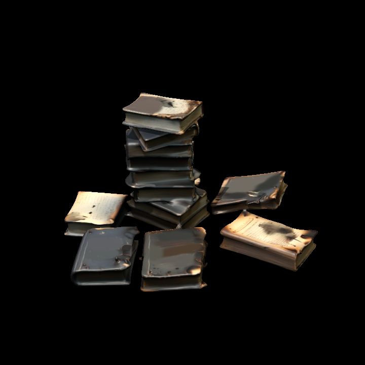 Burned books pile 3