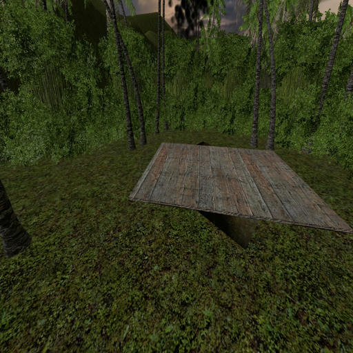 Vietnam tunnels