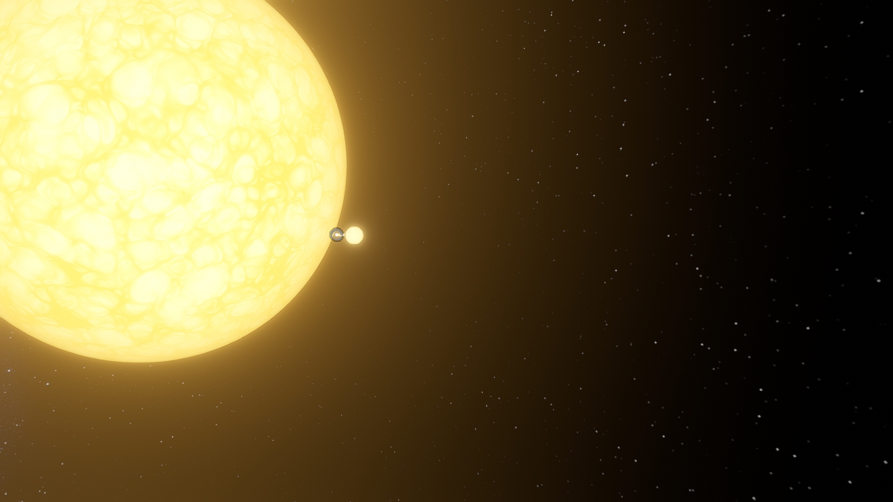 The Star Convention (The Full Star Set)