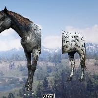 vaguely red dead magnifier preview