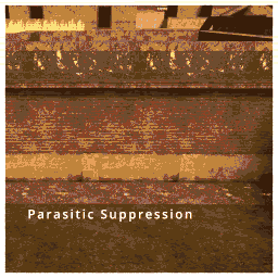 Parasitic Suppression