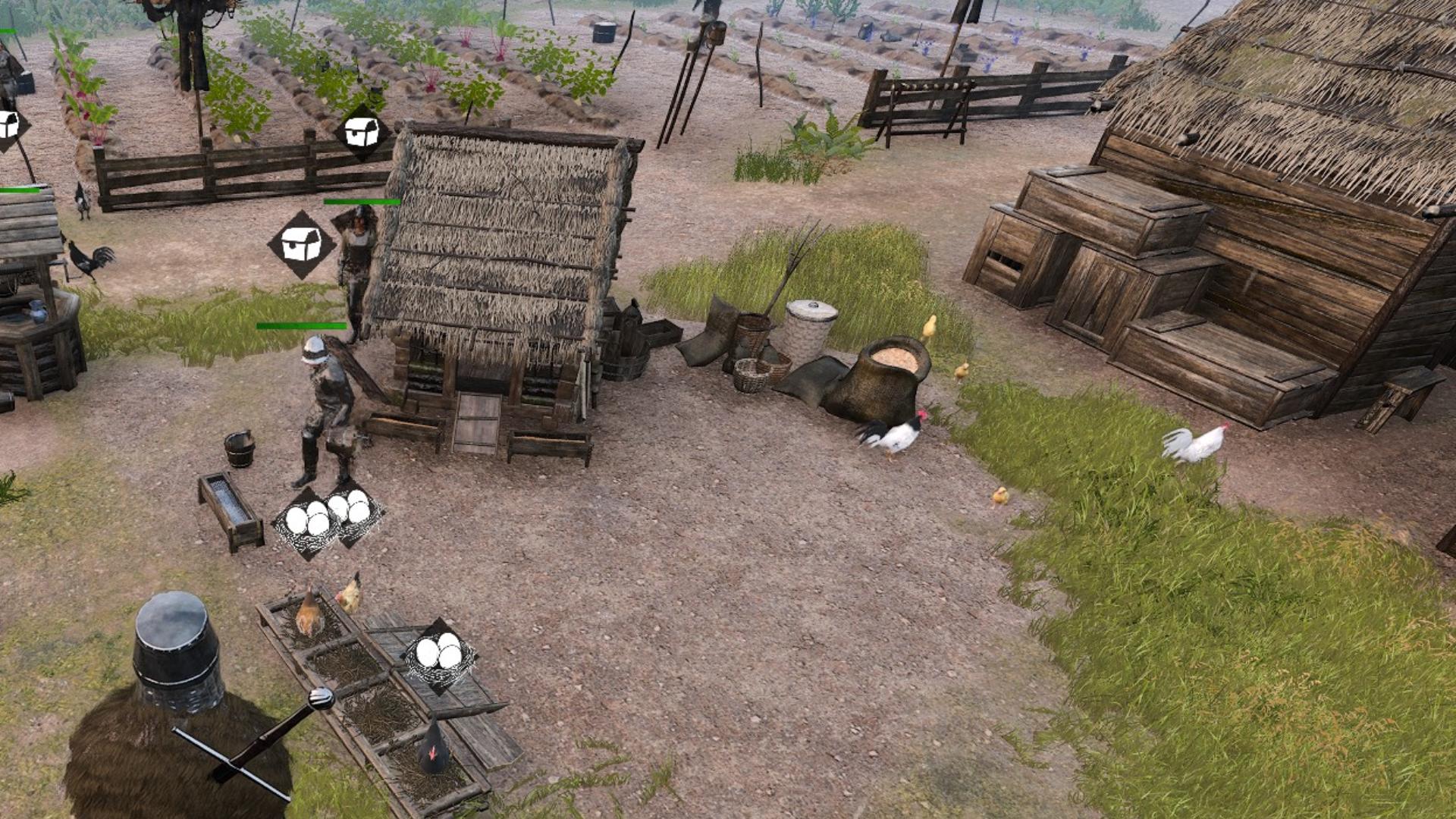 FreeRangeChickens