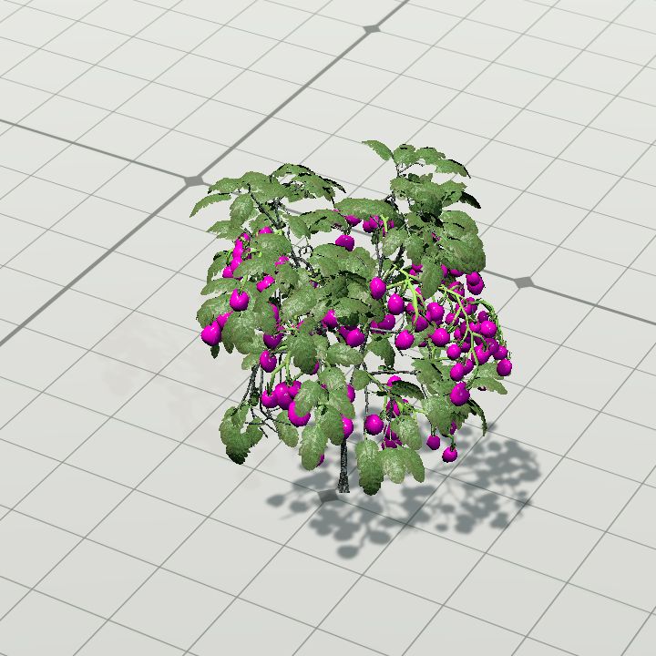 PinkFruit
