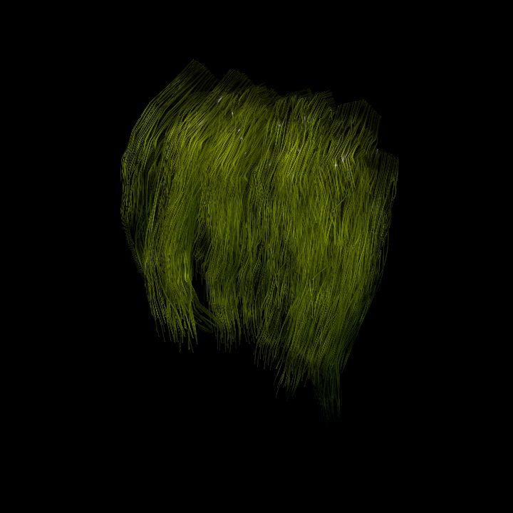 SwampTussocksSmallW_8