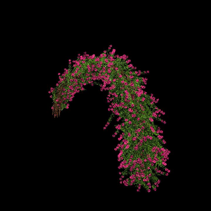 Garden Bow Pink
